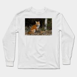 Red Fox - Algonquin Park, Canada Long Sleeve T-Shirt
